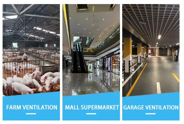 Boiler Blower Boiler Blower